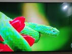 Samsung 8 Series 55"