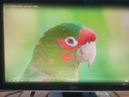 Samsung fresh Monitor