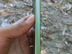 Samsung Galaxy A05 (Used)