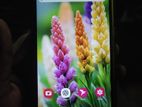 Samsung Galaxy A10s (Used)
