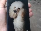Samsung Galaxy A13 . (Used)