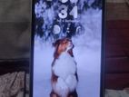Samsung Galaxy A14 4/128 (Used)