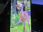 Samsung Galaxy A15 new (Used)