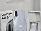 Samsung Galaxy A17 intact 6/128 (Used)