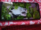 Samsung Galaxy A30 (Used)