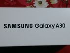 Samsung Galaxy A30 (Used)