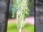 Samsung Galaxy A50s (Used)