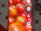 Samsung Galaxy A52 Full fresh box (Used)