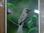Samsung Galaxy J5 Ram: 2 GB Rom: 26 (Used)