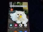 Samsung Galaxy J7 pro (Used)