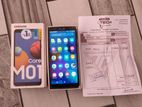 Samsung Galaxy M01 Core 2GB / 32GB (Used)