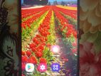 Samsung Galaxy M51 8/128 (Used)