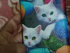 Samsung Galaxy M51 (Used)