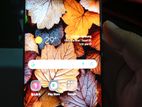 Samsung Galaxy S10 5G (Used)