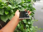 Samsung Galaxy S10 Plus (Used)