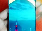 Samsung Galaxy S10 Plus . (Used)