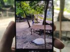 Samsung Galaxy S21 8/128 (Used)