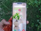Samsung Galaxy S21 8/256 GB (Used)
