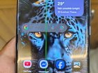 Samsung Galaxy S22 Ultra South Korean (Used)