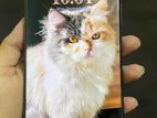 Samsung Galaxy S23 Ultra 12/256 (Used)