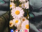 Samsung Galaxy S8 Plus (Used)