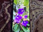 Samsung Galaxy Z Flip 4 8/256 (Used)