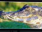 Samsung Led Monitor `22`