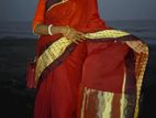 Sarees