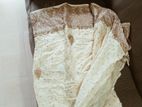Saree Light Colour