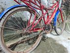 Bicycle for sell