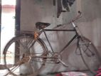 Bicycle for sell