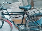 Bicycle for Sell