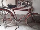 Terrin bicycle for sale