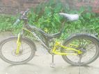 cycle for sale