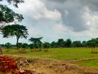 জমি বিক্রি