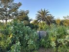 SECTOR 24, 3 KATHA LAND SALE