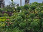 সেক্টর ২৫ রাজউক পূর্বাচল ৩ কাঠা প্লট বিক্রয়