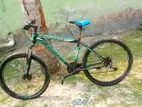 Duranta Bicycle for sale