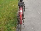 Cycle for sell