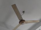 Fan for sale