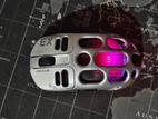 Mouse for sell