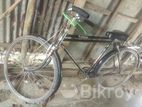 Bicycle for sell