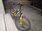 Phoenix Bicycle for sale