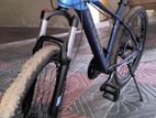 Bicycle for sale