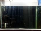 Glass aquarium