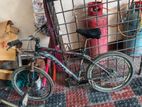 Phoenix Bicycle for sale