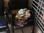 Chair sell
