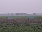 প্লট বিক্রি