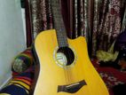 Semi Acoustic guiter