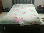 Semi Double Bed